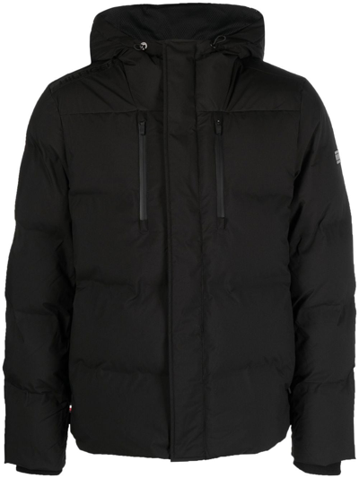 Tommy Hilfiger Loft Padded Shell Hooded Jacket In Black