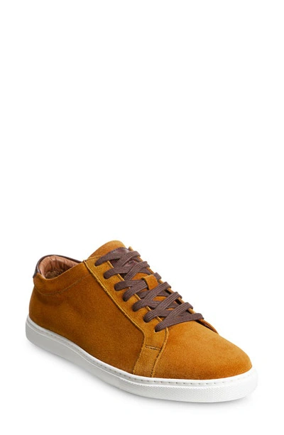 Allen Edmonds Courtside Sneaker In Brown