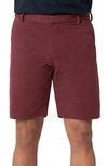 Swet Tailor Everyday Chino Shorts In Oxblood