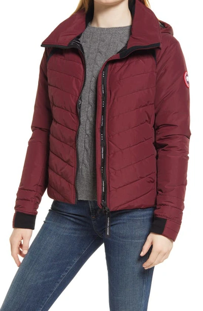 Canada Goose Hybridge® Base Hooded 750 Fill Power Down Jacket In Bordeaux - Bordeaux