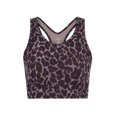 Varley Berkeley Bra In Tort Leopard In Animal Print