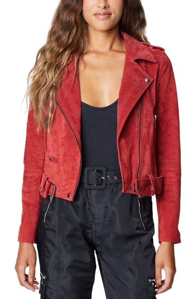 Blanknyc Blouson De Moto En Daim In Stolen Kiss