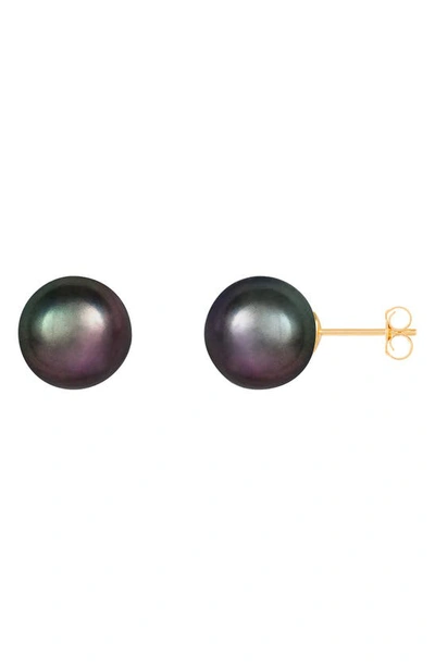 Splendid Pearls 14k White Gold Tahitian Pearl Earirngs Earring In Black