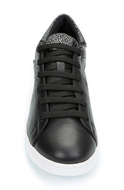 Geox Jaysen Sneaker In Black | ModeSens