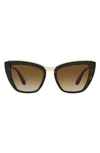 Dolce & Gabbana 54mm Gradient Cat Eye Sunglasses In Havana/ Gradient Brown