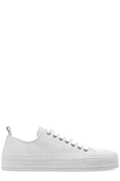 Ann Demeulemeester Gert Canvas Low-top Sneakers In White
