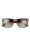 Ray Ban 54mm Polarized Square Sunglasses In Transparent Brown