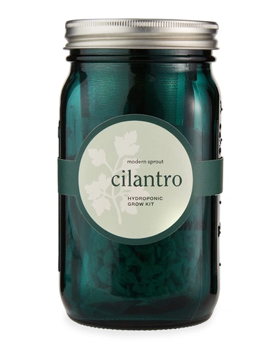 Modern Sprout Garden Jar - Cilantro