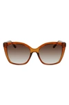 Ferragamo Gancini 54mm Modified Rectangle Sunglasses In Crystal Caramel