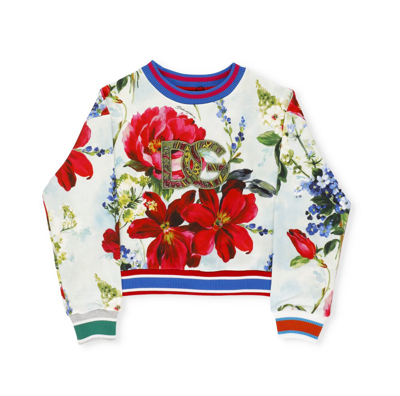 Dolce & Gabbana Cardinal's Guard Embroidered-logo Sweatshirt In Multicolor