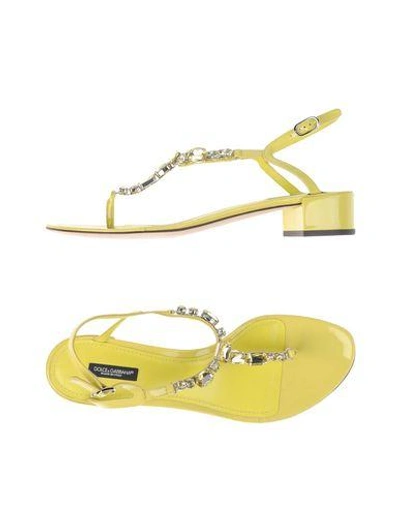 Dolce & Gabbana Toe Strap Sandals In Yellow