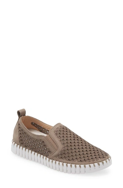 Ilse Jacobsen Tulip Perforated Slip-on Sneaker In Army Black