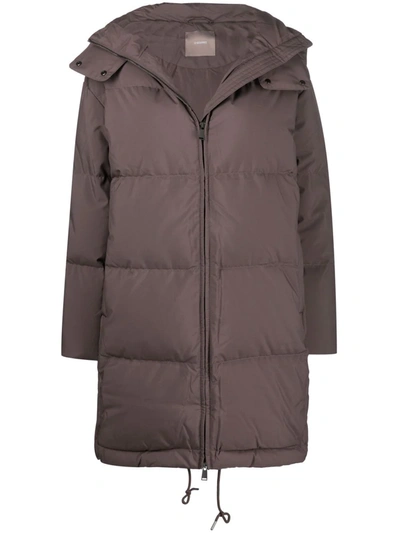 12 Storeez Hooded Padded Coat In Brown