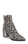 Tony Bianco Brazen Pointy Toe Bootie In Natural Snake Print Leather