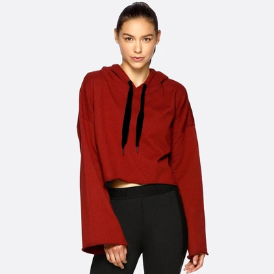 Alala Stance Bell Sleeve Crop Hoodie In Spice