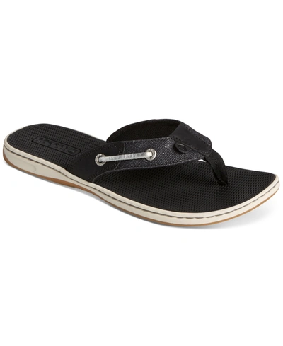Sperry Women's Seafish Thong Sandals Women's Shoes In Black