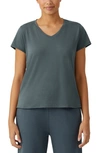 Eileen Fisher Organic Cotton V-neck T-shirt In Eucalyptus