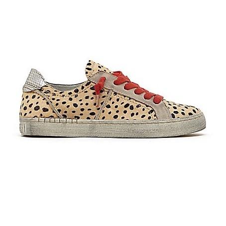 dolce vita leopard sneakers with red laces