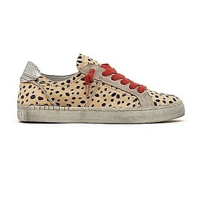 Dolce Vita Zalen Sneakers In Leopard | ModeSens