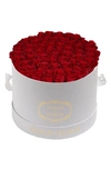 Venus Et Fleur Classic Large Eternity Roses In Dark Red