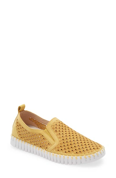 Ilse Jacobsen Tulip Slip-on Sneaker In Golden Rod