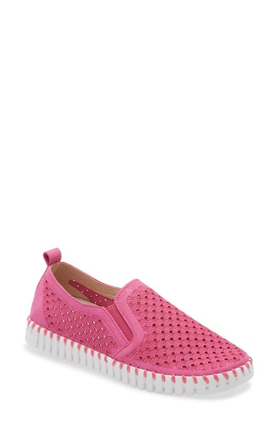 Ilse Jacobsen Tulip Slip-on Sneaker In Multi