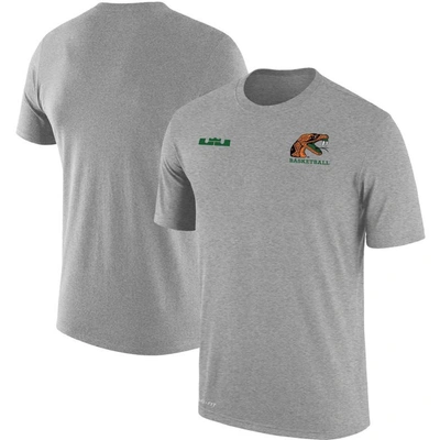 Nike X Lebron James Gray Florida A&m Rattlers Collection Performance T-shirt