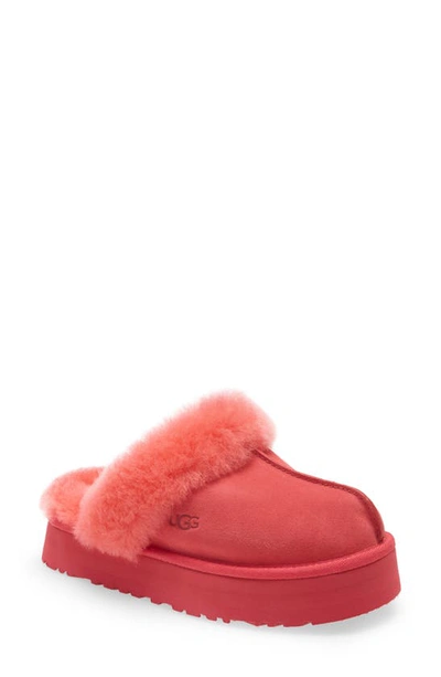 Ugg Disquette Slipper In Hibiscus Pink Suede