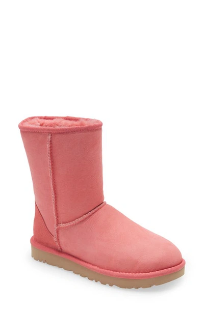 Ugg Classic Ii Genuine Shearling Lined Short Boot In Pink Blossom