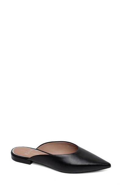 Linea Paolo Ayla Pointy Toe Mule In Black