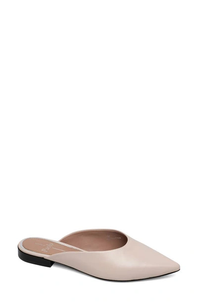 Linea Paolo Ayla Pointy Toe Mule In Pale Pink