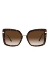 Tiffany & Co 54mm Square Sunglasses In Havana/ Gradient Brown