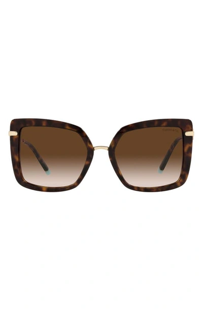 Tiffany & Co 54mm Square Sunglasses In Havana/ Gradient Brown