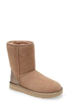 Ugg Classic Ii Genuine Shearling Lined Short Boot In Beachwood Shine