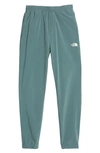 The North Face Wander Sweatpants In Goblin Blue