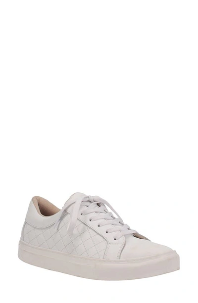Dingo Valley Sneaker In White