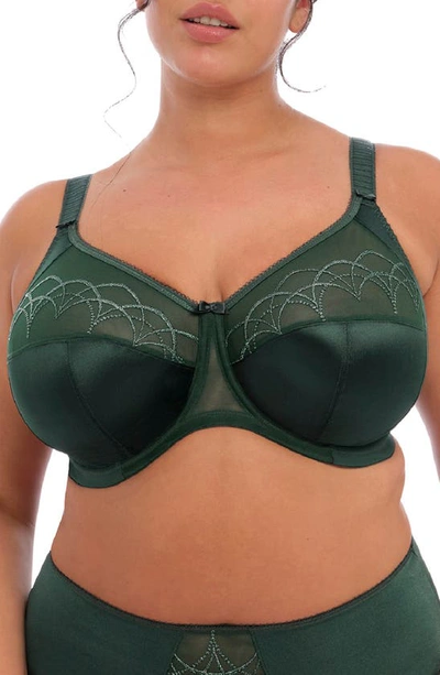 Elomi 'cate' Underwire Bra In Pinegrove
