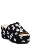 Coconuts By Matisse Terry Platform Sandal In Black Daisy