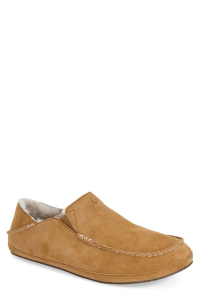 Olukai Moloa Genuine Shearling Convertible Slipper In Tobacco/ Tobacco