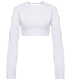 Jacquemus Le T-shirt Piccola Cropped Cotton-jersey T-shirt In White