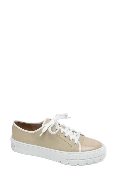 Linea Paolo Kalaia Platform Sneaker In Sand/ Lotus