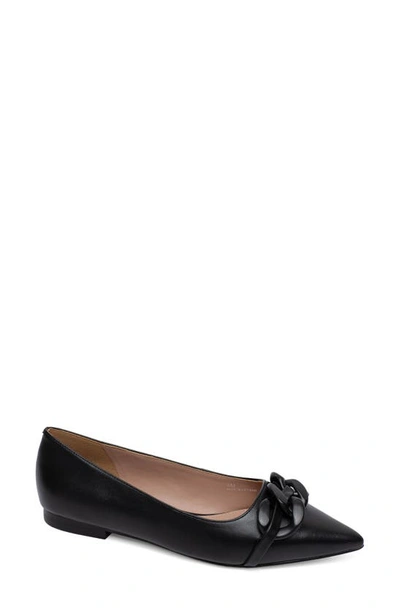 Linea Paolo Nora Pointed Toe Flat In Black