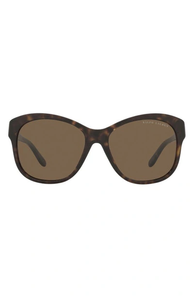 Ralph Lauren 55mm Square Sunglasses In Shiny Dark Havana/brown