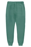 Goodlife Loop Terry Joggers In Pine