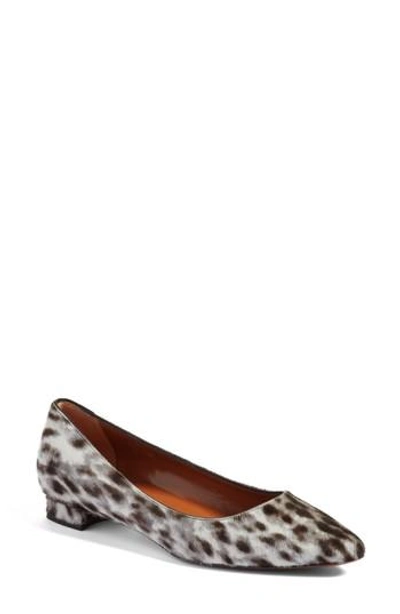 Aquatalia Perla Weatherproof Genuine Calf Hair Ballerina Shoe In Snow Leopard Haircalf ModeSens