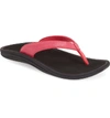 Olukai 'kulapa Kai' Thong Sandal In Fuchsia/ Black