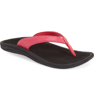 Olukai 'kulapa Kai' Thong Sandal In Fuchsia/ Black