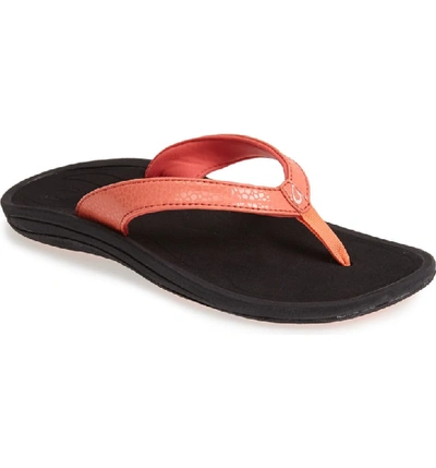 Olukai 'kulapa Kai' Thong Sandal In Coral/ Black