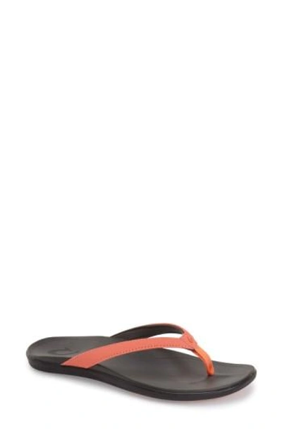 Olukai 'ho Opio' Flip Flop In Pink Faux Leather