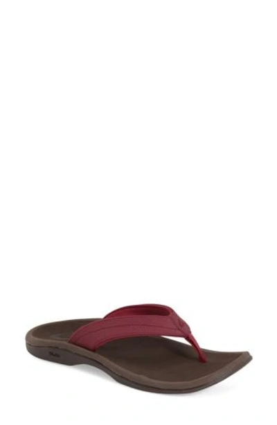 Olukai 'ohana' Sandal In Pokeberry/ Dark Java